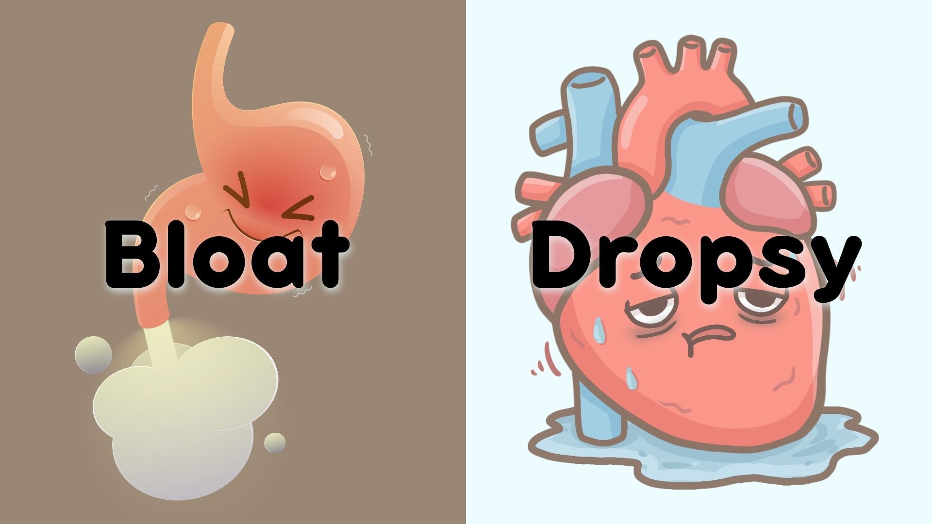 Betta Fish Bloated vs Dropsy (How to Tell the Difference) - BettaElite UK