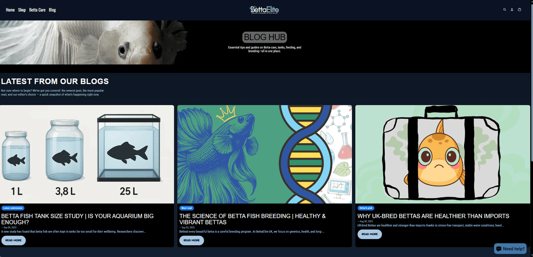 New Blog Hub: Find Great Reads Faster - BettaElite UK