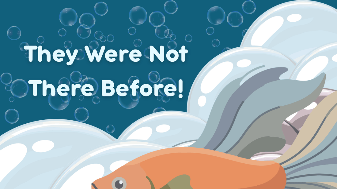 Why Is My Betta Fish Making Bubble Nest All the Time? (Is It Normal or a Problem?) - BettaElite UK