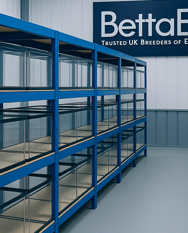 Blue shelving units in a warehouse with 'Betta' branding on a sign.
