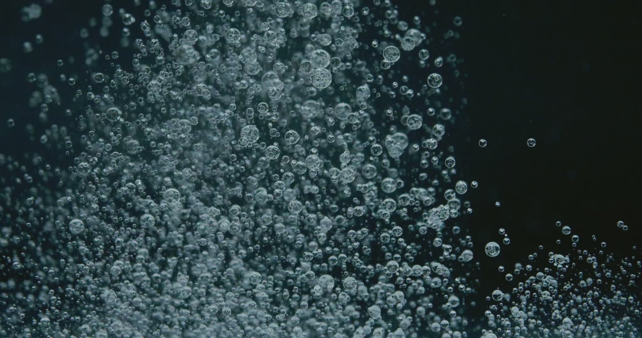 Air bubbles rising in clear water against a black background.